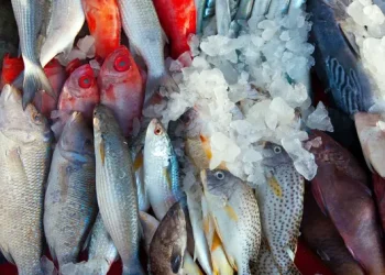 5 Teknik Mengolah Ikan Laut Tanpa Amis, Praktis dan Terbukti Efektif
