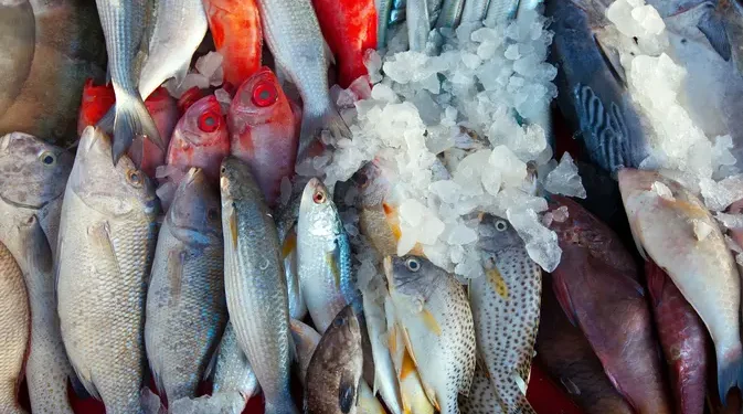 5 Teknik Mengolah Ikan Laut Tanpa Amis, Praktis dan Terbukti Efektif