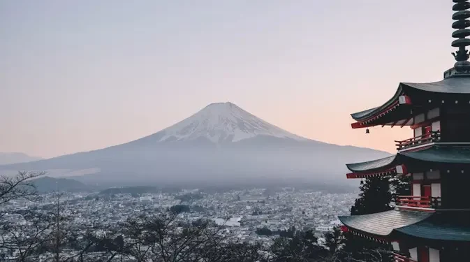 Rahasia Orang Jepang Tetap Langsing Meski Konsumsi Nasi Setiap Hari