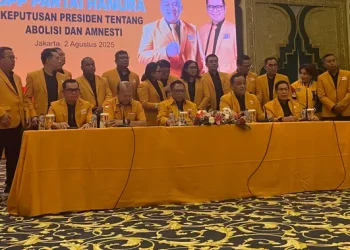 Hanura Dukung Penghapusan Tom Lembong dan Amnesti Hasto Kristiyanto, Hukum Kembali pada Jalannya