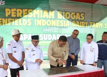 Limbah Kotoran Sapi Menjadi Energi Terbarukan untuk Peternakan Lokal di Blitar