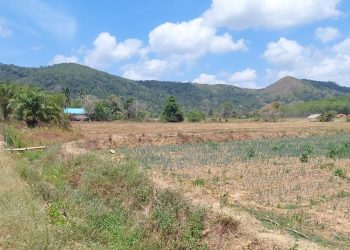 Guru Besar Bicara Soal Tanah Nganggur 2 Tahun yang Diambil Alih Negara