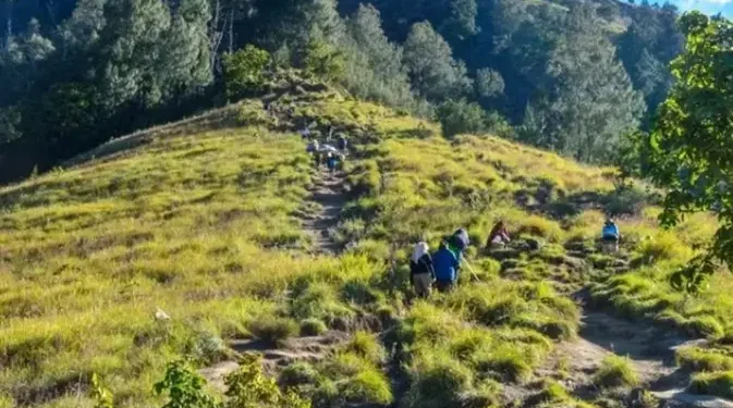 1.170 Pendaki Serbu Gunung Rinjani di Hari Pertama Pembukaan, Banyak Turis Asing