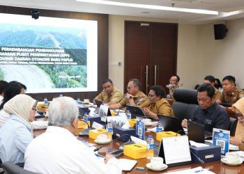 Progres Pembangunan Daerah Otonomi Baru Papua Menurut Wamendagri Ribka Haluk