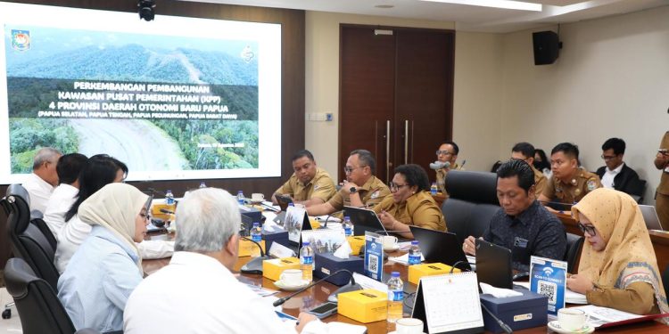 Progres Pembangunan Daerah Otonomi Baru Papua Menurut Wamendagri Ribka Haluk