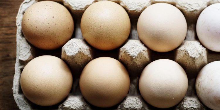 7 Makanan yang Tidak Disarankan Dikonsumsi Bersama Telur, Apa Saja?