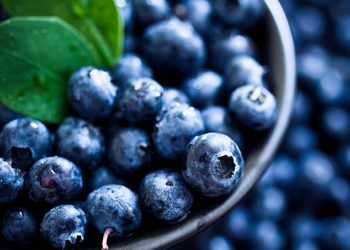 Makan Buah Ini Setiap Hari Bisa Perpanjang Umur Anda Satu Tahun