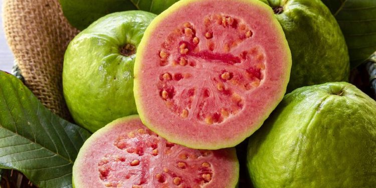 9 Buah Sumber Kalsium yang Meningkatkan Kekuatan Tulang di Usia 50-an