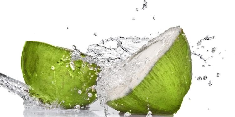 Efek Minum Air Kelapa Setiap Hari dan Hasilnya