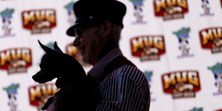 Kontes Anjing Terjelek Rayakan Ketidaksempurnaan di Dunia