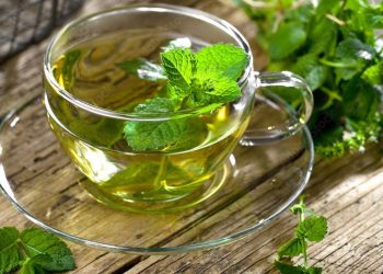 Sedang Diet? 6 Air Rebusan Daun dan Bunga untuk Mengatasi Lemak Perut