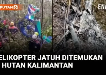 Tim SAR Temukan Lokasi Jatuhnya Helikopter di Kalimantan, Satu Korban Ditemukan