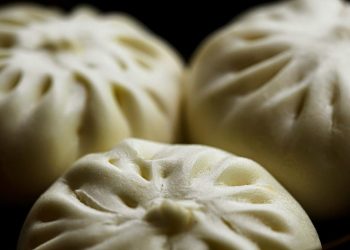 Resep Bakpao Lembut dan Mengembang Sempurna Panduan Lengkap untuk Pemula