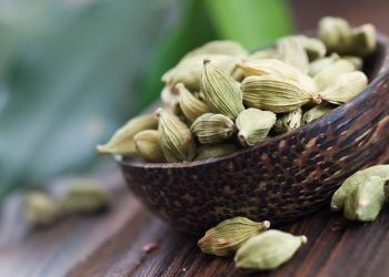 9 Manfaat Kapulaga Si Ratu Rempah yang Ampuh Menurunkan Berat Badan