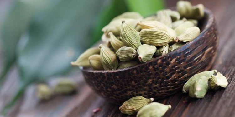 9 Manfaat Kapulaga Si Ratu Rempah yang Ampuh Menurunkan Berat Badan