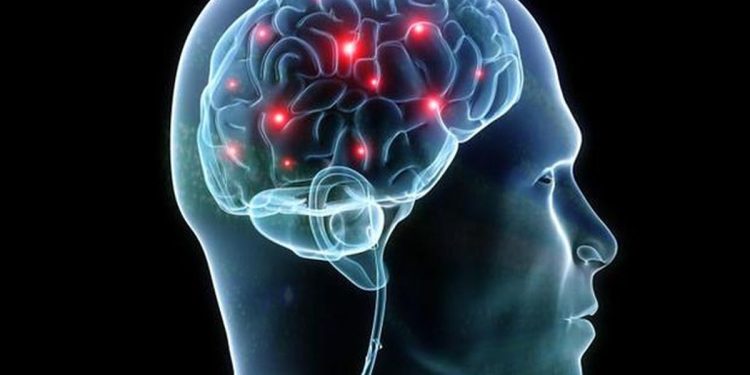 Tiga Hari Makanan Tinggi Lemak Bisa Merusak Fungsi Otak