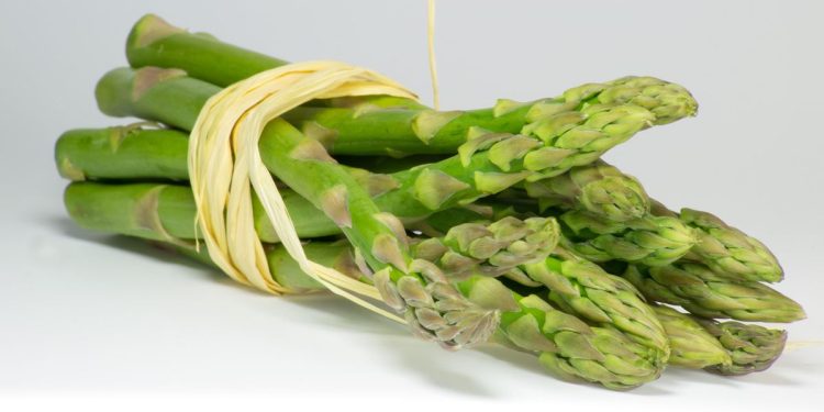 5 Sayuran yang Harus Dihindari oleh Penderita Asam Urat, Apa Saja?