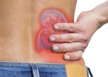 Batasi Konsumsi 7 Makanan Perusak Ginjal Sebelum Terlambat