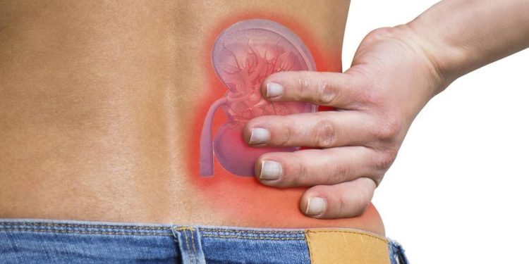 Batasi Konsumsi 7 Makanan Perusak Ginjal Sebelum Terlambat