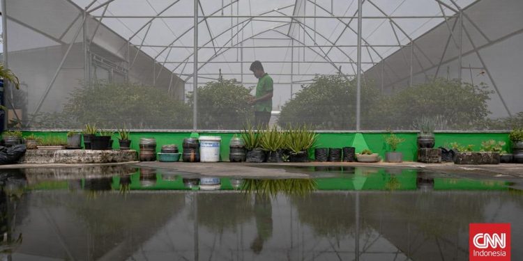 Mengunjungi Green House di Pasar Mayestik