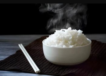 Hati-hati Memanaskan! Pakar IPB Sebutkan Makanan yang Dapat Menyebabkan Keracunan