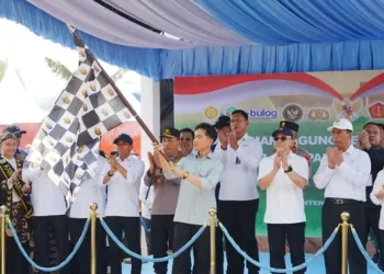 Kawal Instruksi Pangan, Kapolri Gelar Tanam Jagung Serentak