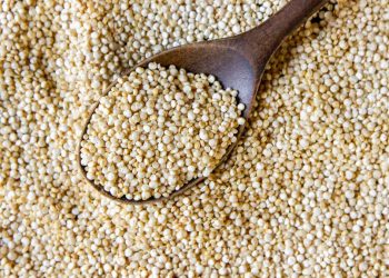 Kembangkan Sosis Ayam Sorgum Tinggi Protein Ramah untuk Penderita Diabetes