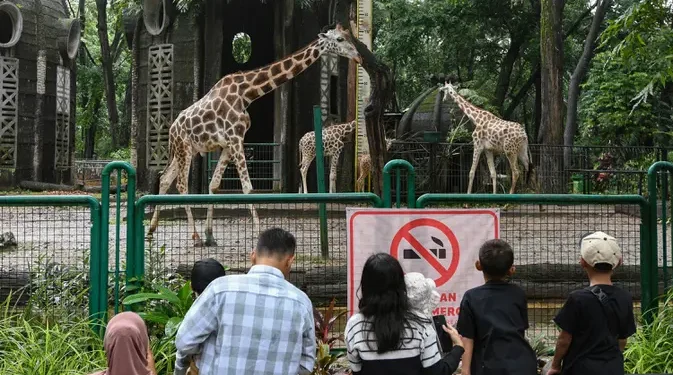 Wisata Malam Ragunan Mulai Dibuka Hari Ini, Cek Jam Operasional dan Cara Beli Tiket