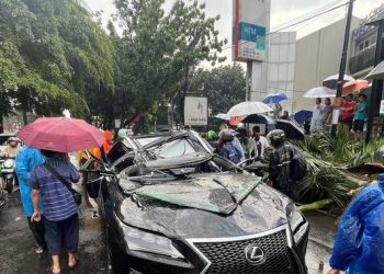 Pengemudi Tewas Tertimpa Pohon Palem di Pondok Indah, Pemprov Jakarta Berikan Santunan