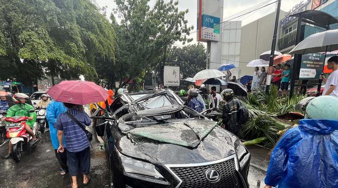 Pengemudi Tewas Tertimpa Pohon Palem di Pondok Indah, Pemprov Jakarta Berikan Santunan