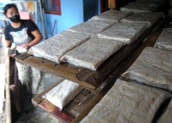 Apakah Makan Tahu dan Tempe Aman?