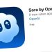 Sora Resmi Hadir di Android Setelah 1 Juta Unduhan di iOS, Siap Saingi TikTok dan Instagram