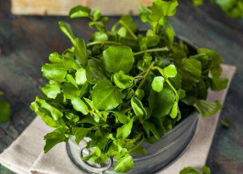 Resep Jukut Goreng Renyah Kriuk Tahan Lama Tidak Berminyak dan Bikin Nagih