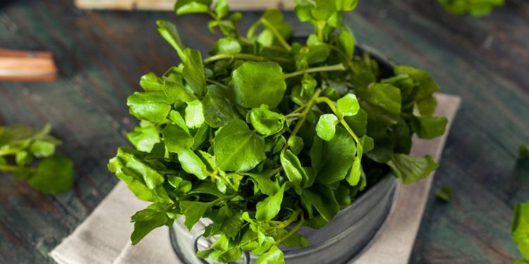 Resep Jukut Goreng Renyah Kriuk Tahan Lama Tidak Berminyak dan Bikin Nagih