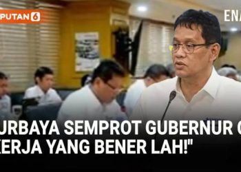 Purbaya Depan DPD Serukan Gubernur dan Rekan Kerja yang Benar!