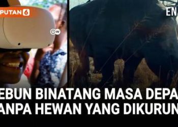 Kebun Binatang Masa Depan Hewan Hidup Bebas Tanpa Penjara
