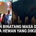 Kebun Binatang Masa Depan Hewan Hidup Bebas Tanpa Penjara