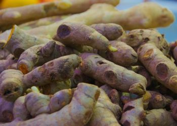 6 Manfaat Kunyit Hitam yang Langka untuk Meredakan Nyeri Otot dan Kesehatan Lainnya