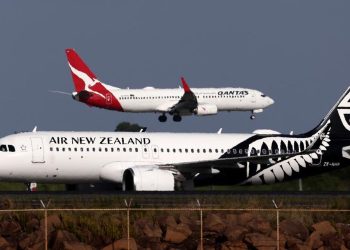 Staf Cedera, Maskapai Larang Perjalanan Hewan Besar dalam Penerbangan