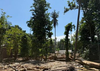 Wamen Komdigi Kunjungi Beberapa Kabupaten di Wilayah Bencana Aceh untuk Memperbaiki Komunikasi