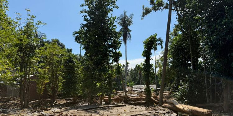 Wamen Komdigi Kunjungi Beberapa Kabupaten di Wilayah Bencana Aceh untuk Memperbaiki Komunikasi