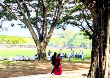 Menanam Pohon Setara dengan Menanam Oksigen, Menebang Merusak Kesehatan Manusia secara Perlahan