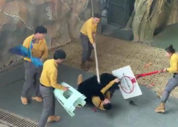 Beruang Hitam Terkam Penjaga di Pertunjukan Taman Safari Hangzhou