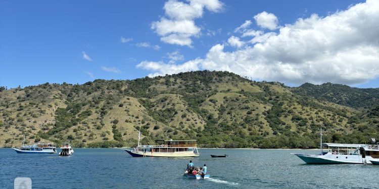 Pelaku Wisata Perusak Terumbu Karang di Labuan Bajo Hanya Dikenai Sanksi Administratif