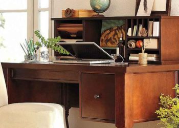 8 Tanaman Hias Minim Perawatan yang Cocok Sebagai Pemanis Meja Kerja