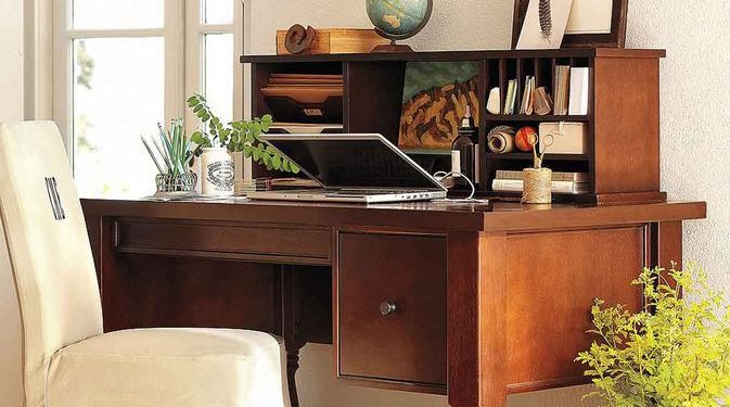 8 Tanaman Hias Minim Perawatan yang Cocok Sebagai Pemanis Meja Kerja