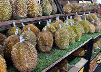 10 Rekomendasi Tempat Makan Durian di Jakarta yang Wajib Dikunjungi