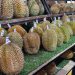 10 Rekomendasi Tempat Makan Durian di Jakarta yang Wajib Dikunjungi