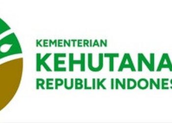 Kemenhut Menanggapi Isu Penggeledahan oleh Kejagung: Hanya Pencocokan Data