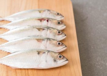 Cegah Stunting, Mahasiswa Jatim Undang Ibu buat Nugget dari Ikan Kembung